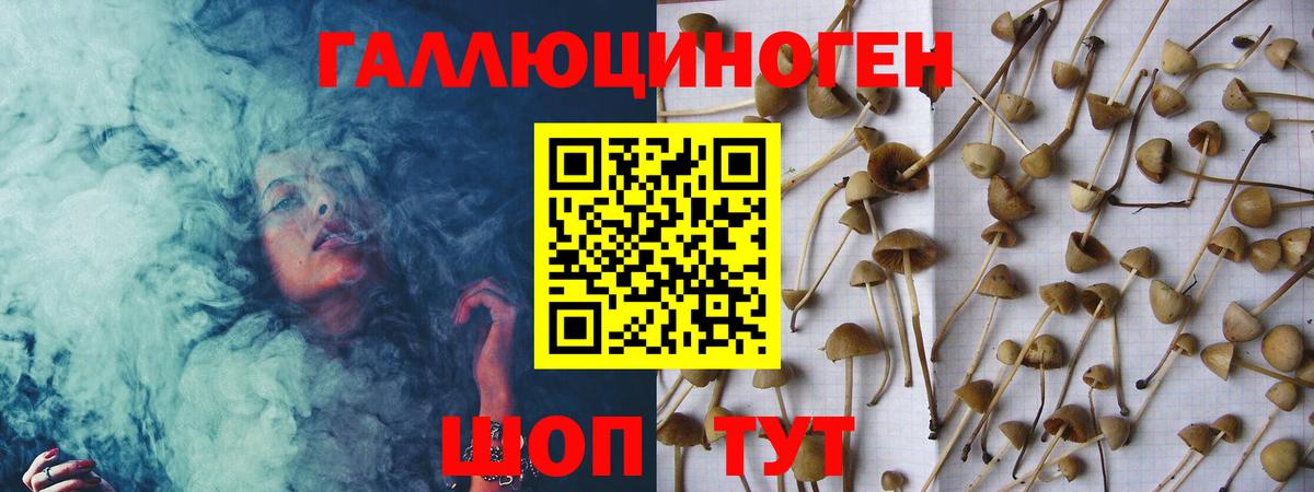 Псилоцибиновые грибы мухоморы Ишим