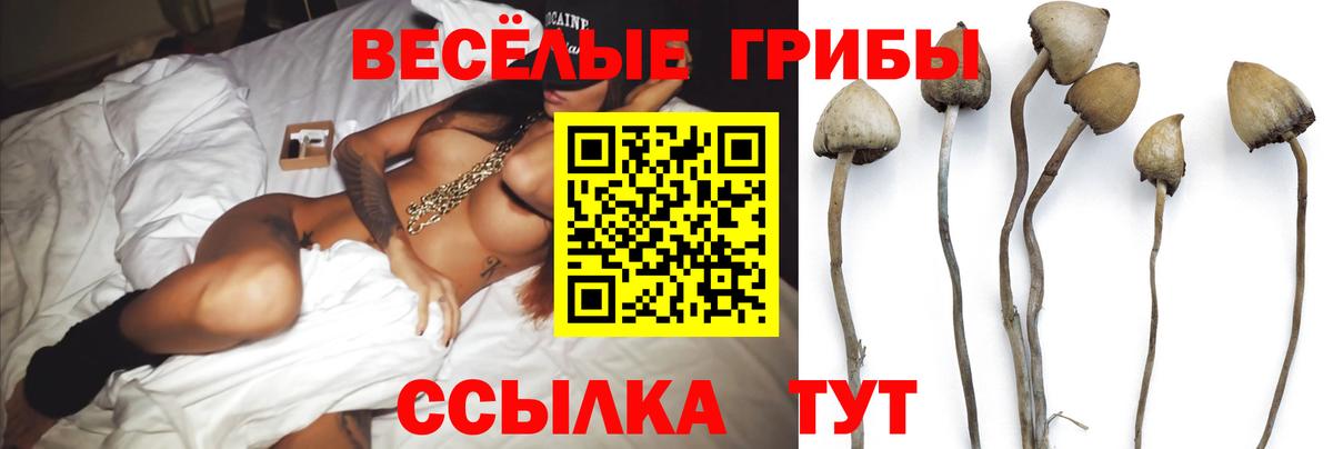 Галлюциногенные грибы MAGIC MUSHROOMS  Галлюциногенные грибы мухоморы  Ишим  Вход с VPN 